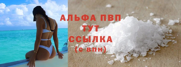винт Аркадак