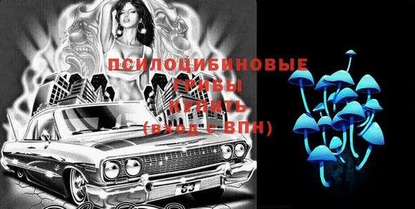 винт Аркадак