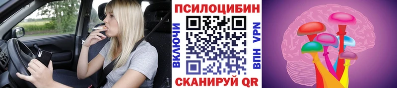 shop Telegram Удомля Галлюциногенные грибы Psilocybe ссылка на мегу вход